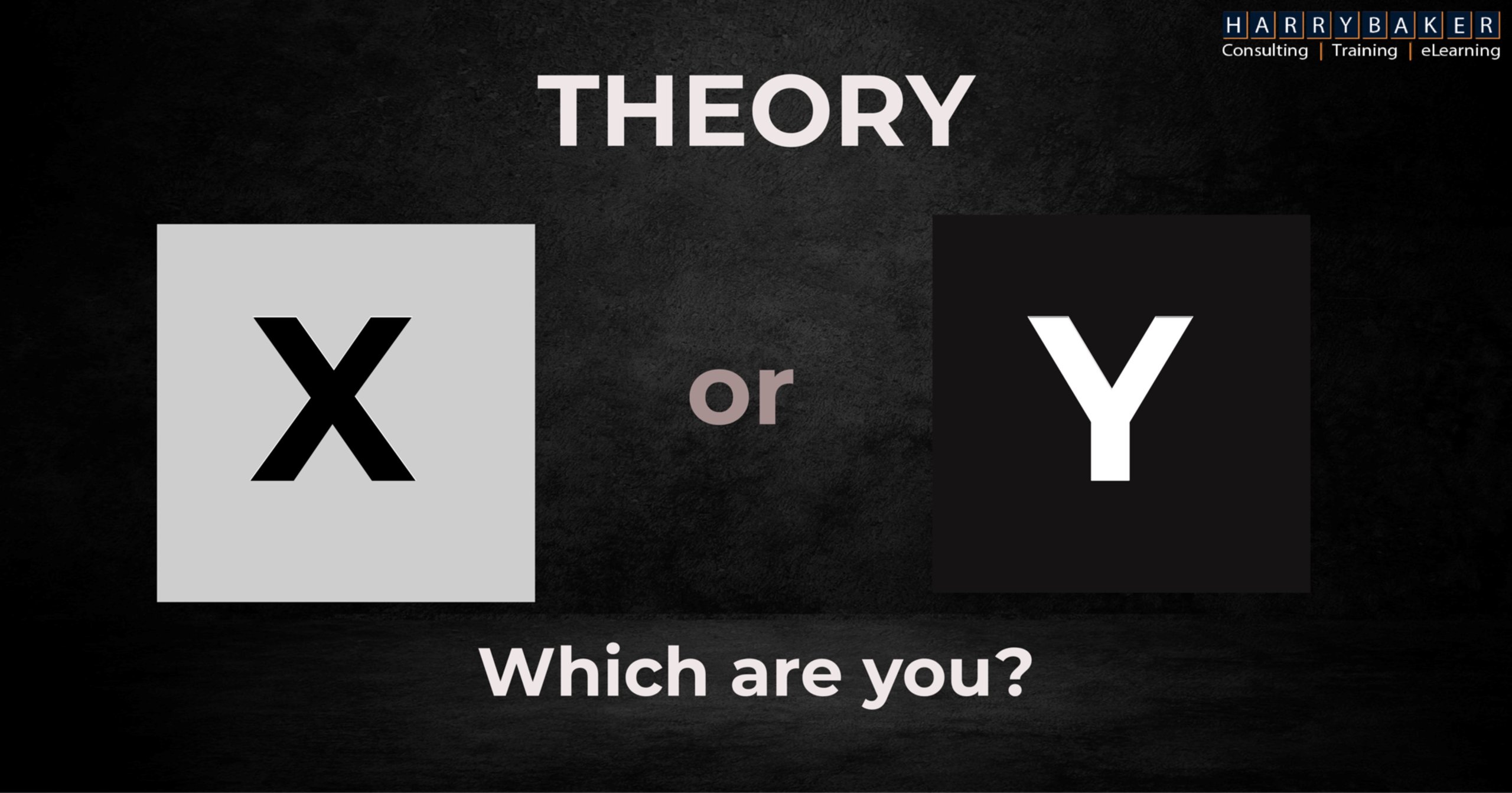 Which are you: Theory X or Y?
