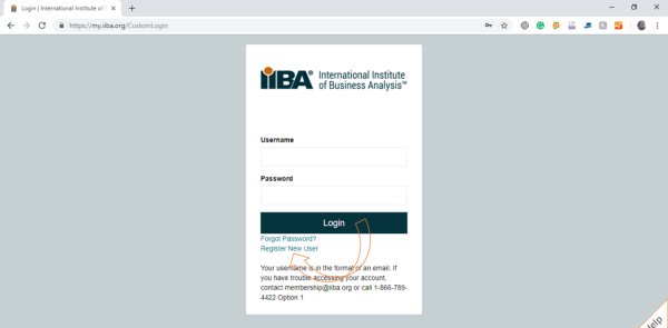 Business Analysis Examination
