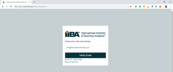 Business Analysis Examination